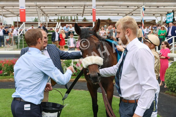 yr23072022r4-44 - Race 4 3.50pm Sky Bet In Running Racing Nursery Handicap