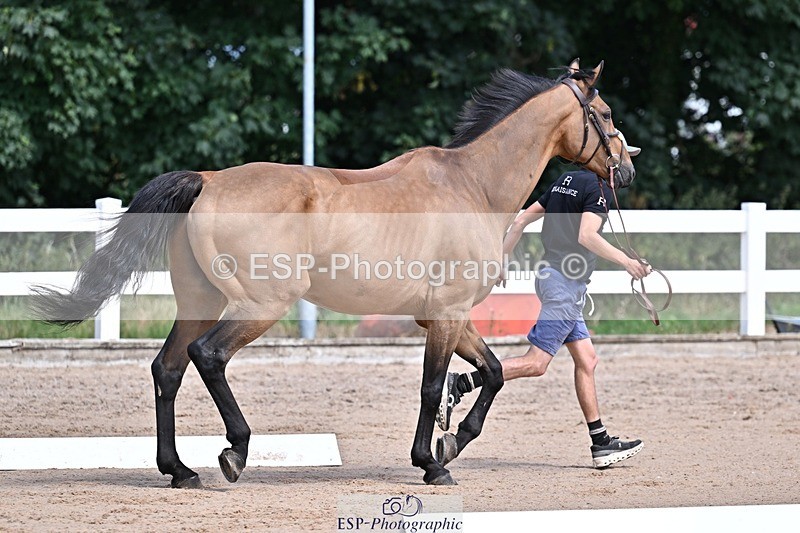 250716-124222-00123 - Trot Up 12.30 to 1.30