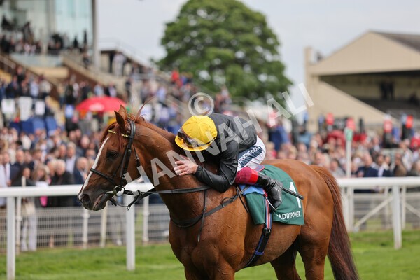yr13052022r4-80 - Race 4 3.35pm The Paddy Power Yorkshire Cup (British Champions Series Race)