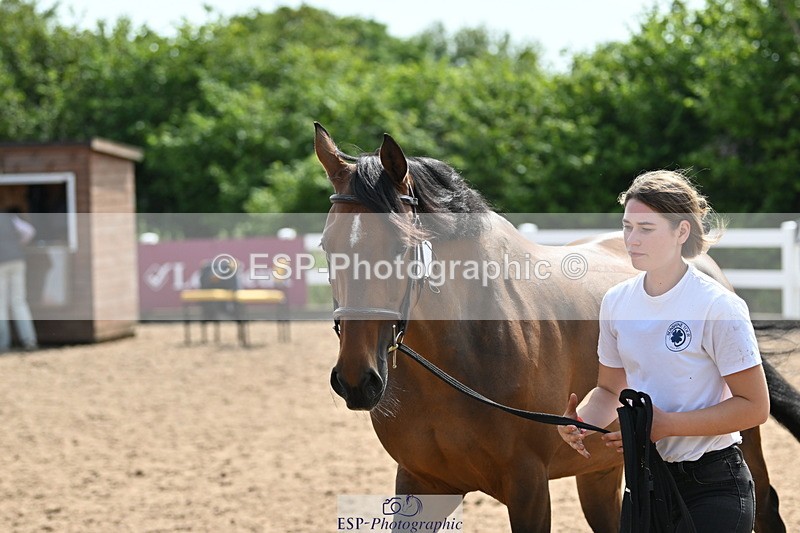 240717A-160307-03298 - Trot Up 4pm to 5pm