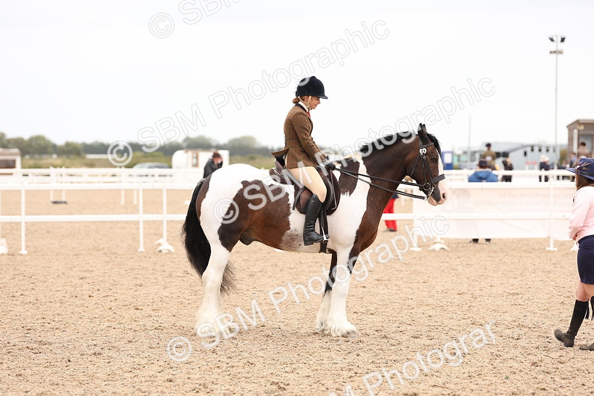 SBM_19716 - Class 216 - Ridden Traditional - Native Cob