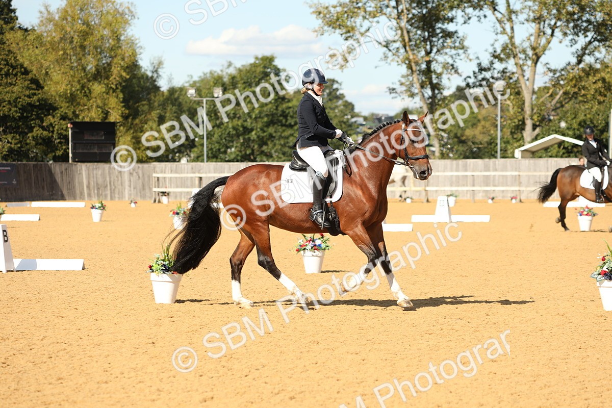 SBM_24525 - D17 - Grand Tour Championship - Novice 27