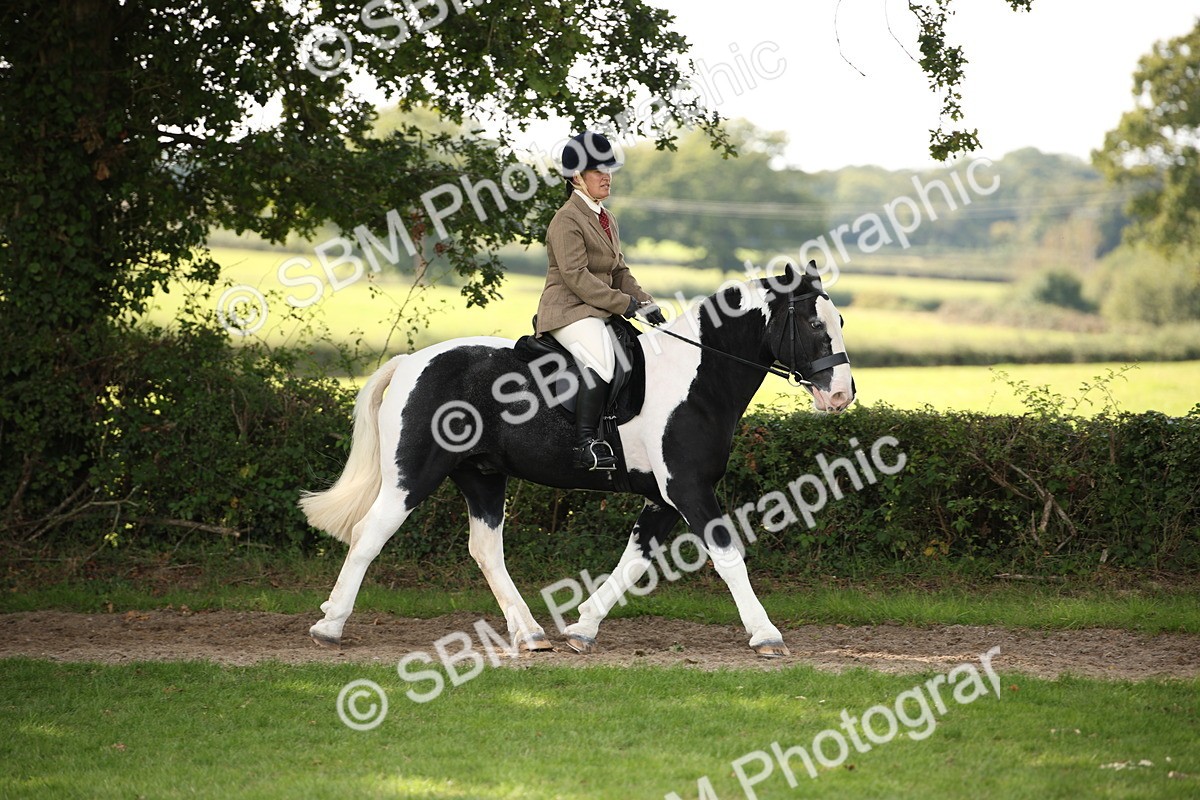 SBM_70071 - S65 - Piebald & Skewbald Horse Ridden