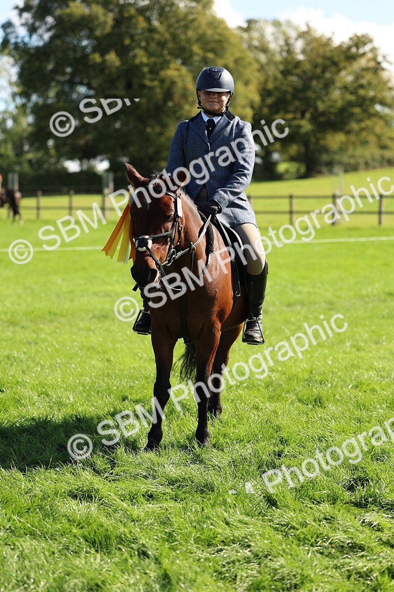 SBM_45464 - S33 - Working Hunter Pony