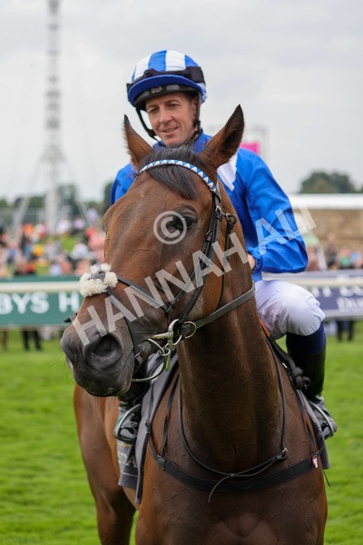 yr20082021r4-30 - Race 4 3.35pm Coolmore Wootton Bassett Nunthorpe Stakes (British Champions Series Race)