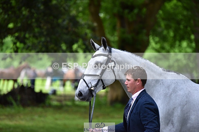 240522-162644-00923 - 207-IE_MR_MCGREGOR-Will_Furlong