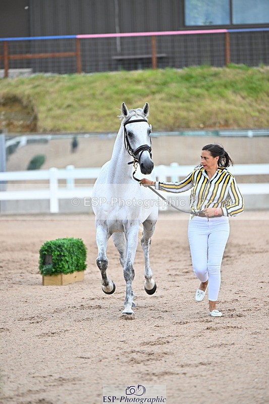 240718A-105324-01966 - Trot Up 2pm to 3pm - This folder is not in time order