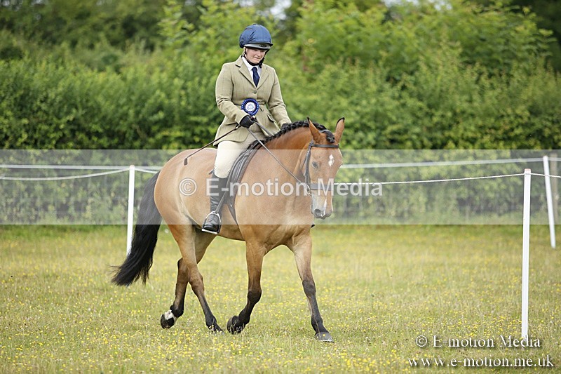 BVR160717-328 - Ring 1 BVRC Show 16/07/17