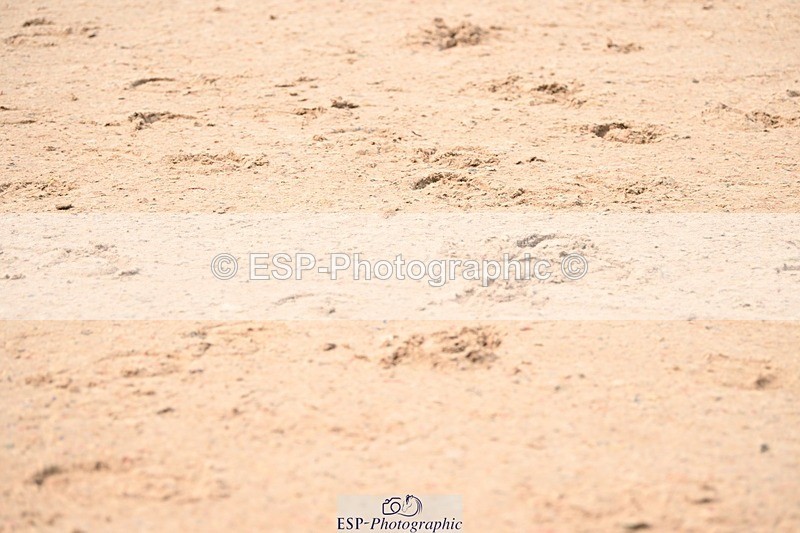 250424-113540-04149 - Cls 17 - 1 Star Silver Tour