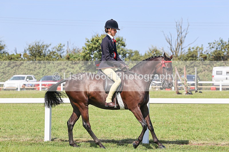 IMG_1982 - Class 33: Show Pony 148cm and under