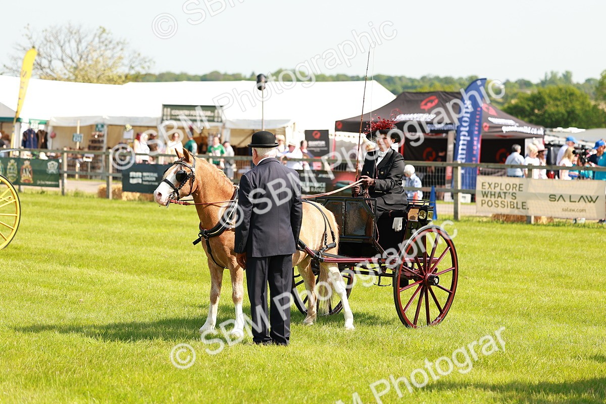SBM_02644