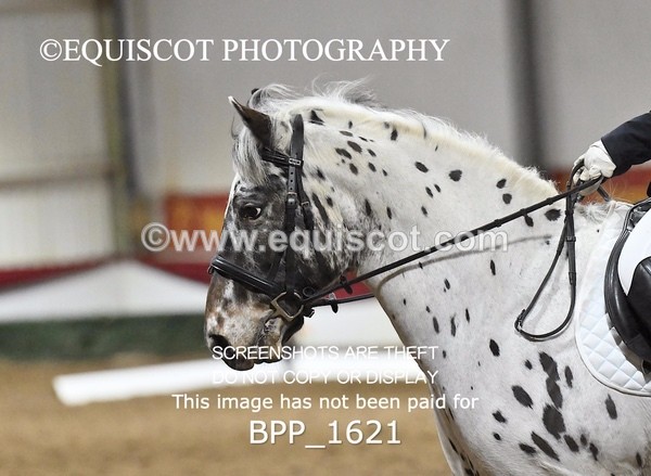 BPP_1621 - PC GRASSROOTS DRESSAGE