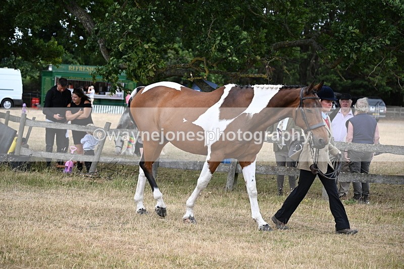 WJ6_8141 - Class 10 Coloured in Hand