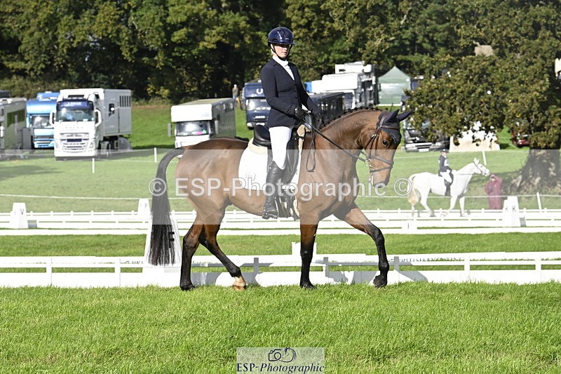 251023A-150749-04516 - E-386-Zara.Head