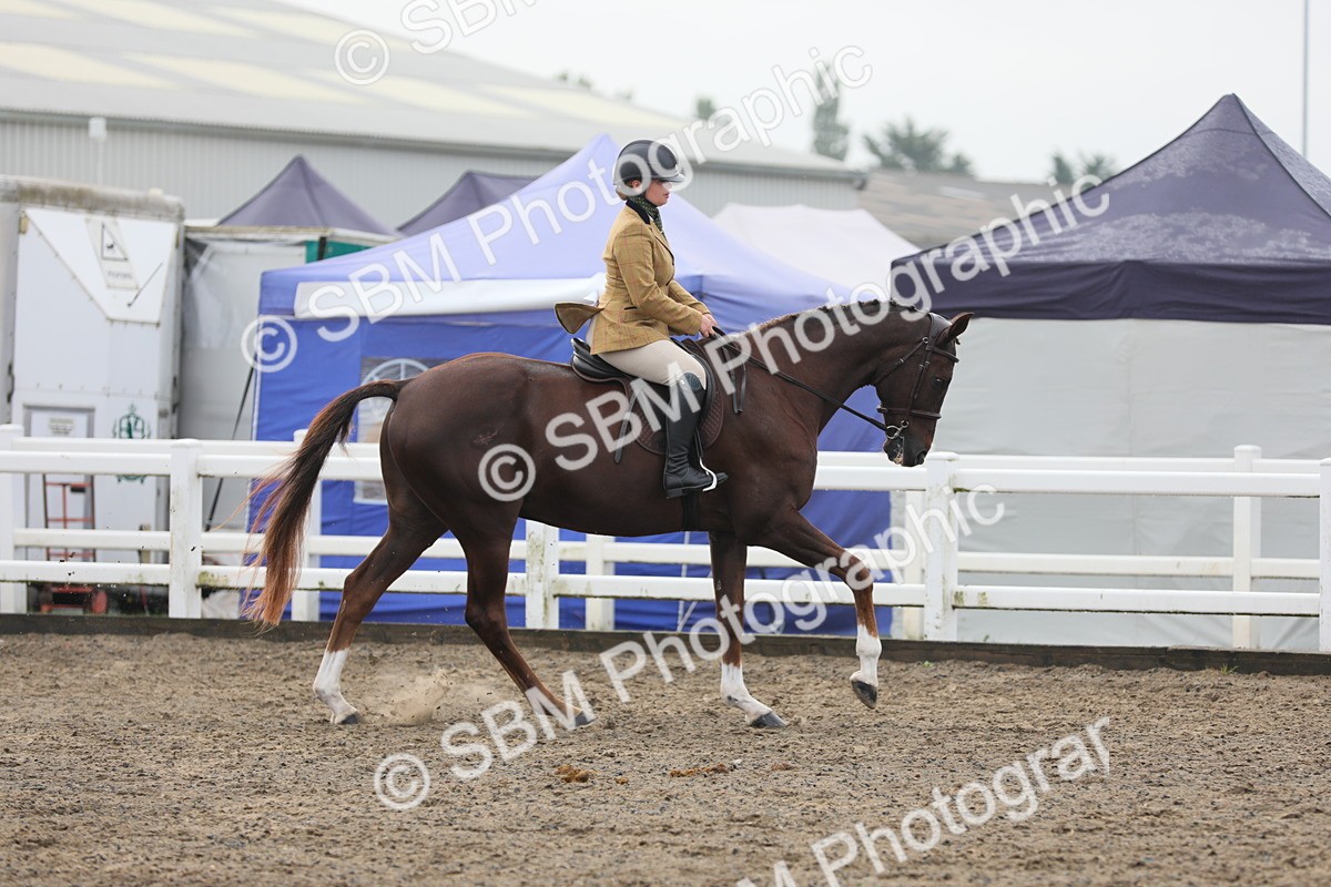 SBM_21348 - Class 805 - Ridden Veteran Horse