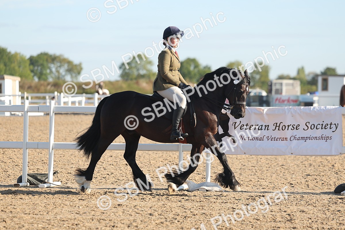 SBM_10960 - Class 302 - Ridden M&M Large Breeds