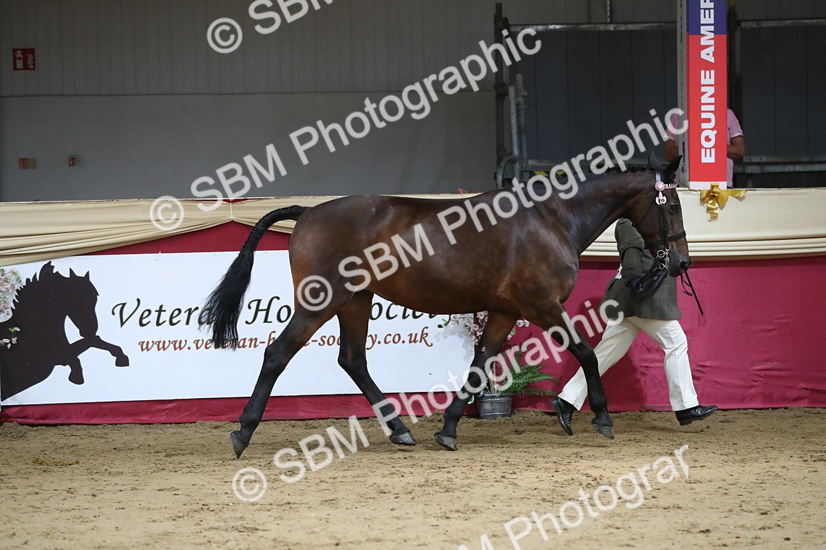 SBM_06272 - Class 9R Regional- IH Pre Vet