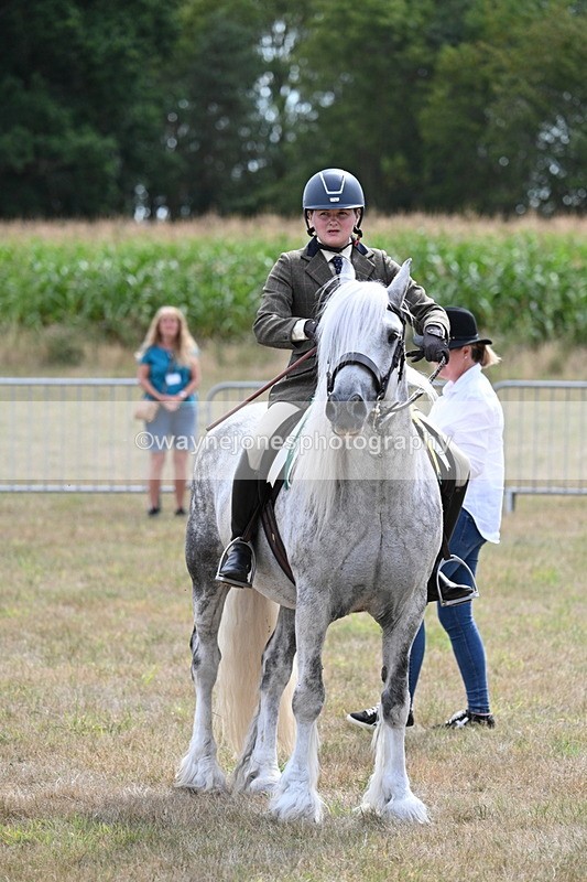 WJ7_5564 - Class 12 Ridden Cob