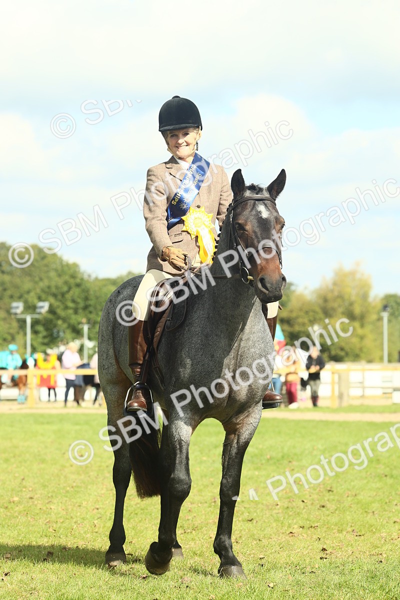 SBM_62692 - S63 - Other Coloured Horse Ridden