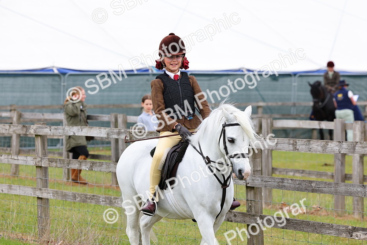 SBM_08467 - Class 42-43 - LIHS BSPS Heritage Working Sports Pony