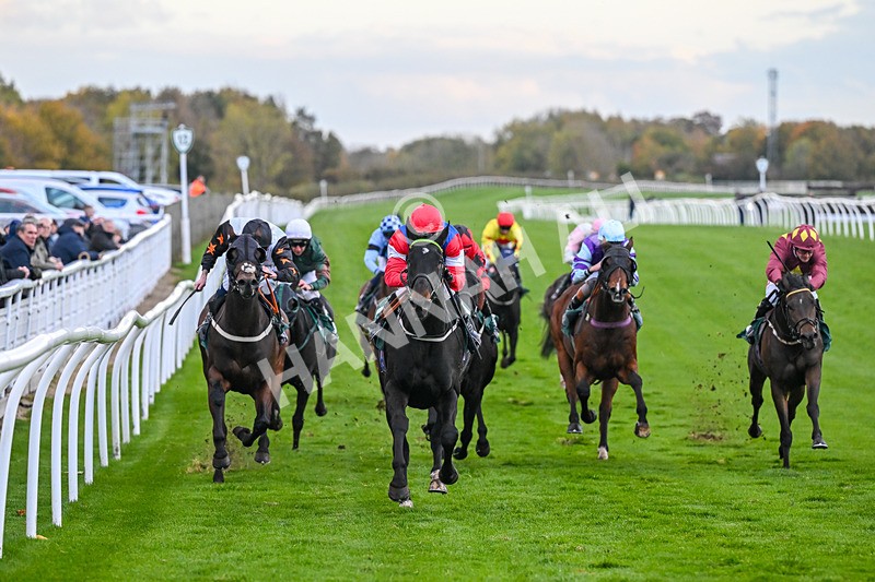 281025-Race 7-Crocodile Power-2096 - Race 7