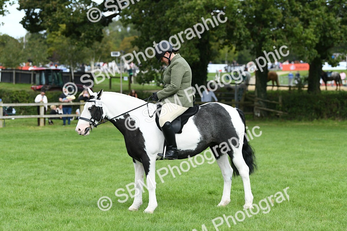 SBM_46778 - S12 - Family Horse & Pony