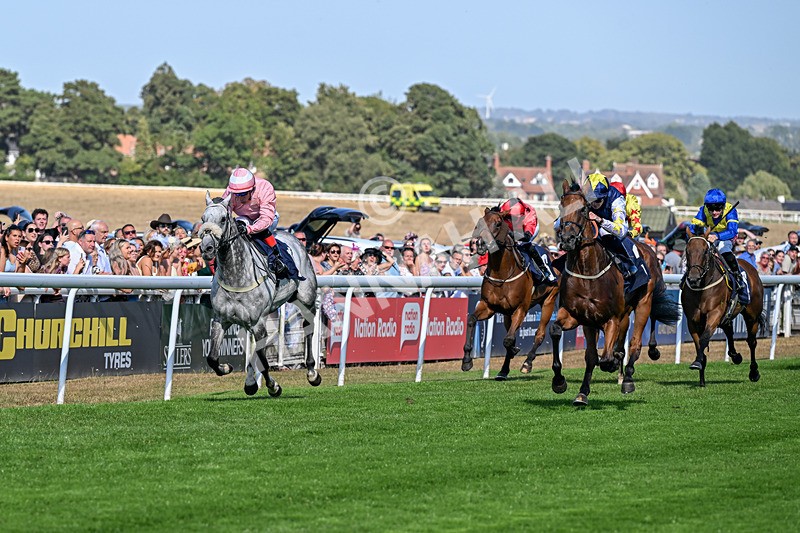 120826-Race 5-Ciao Capo-6943 - Race 5 16.15pm Cayenne Electric At Porsche Centre Hull Handicap