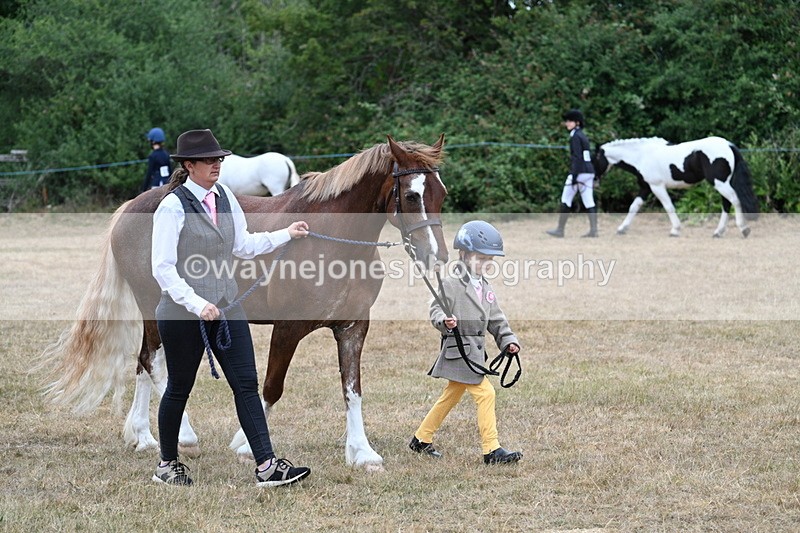 WJ7_8052 - Class 4 Prettiest Mare up to 14.2hh