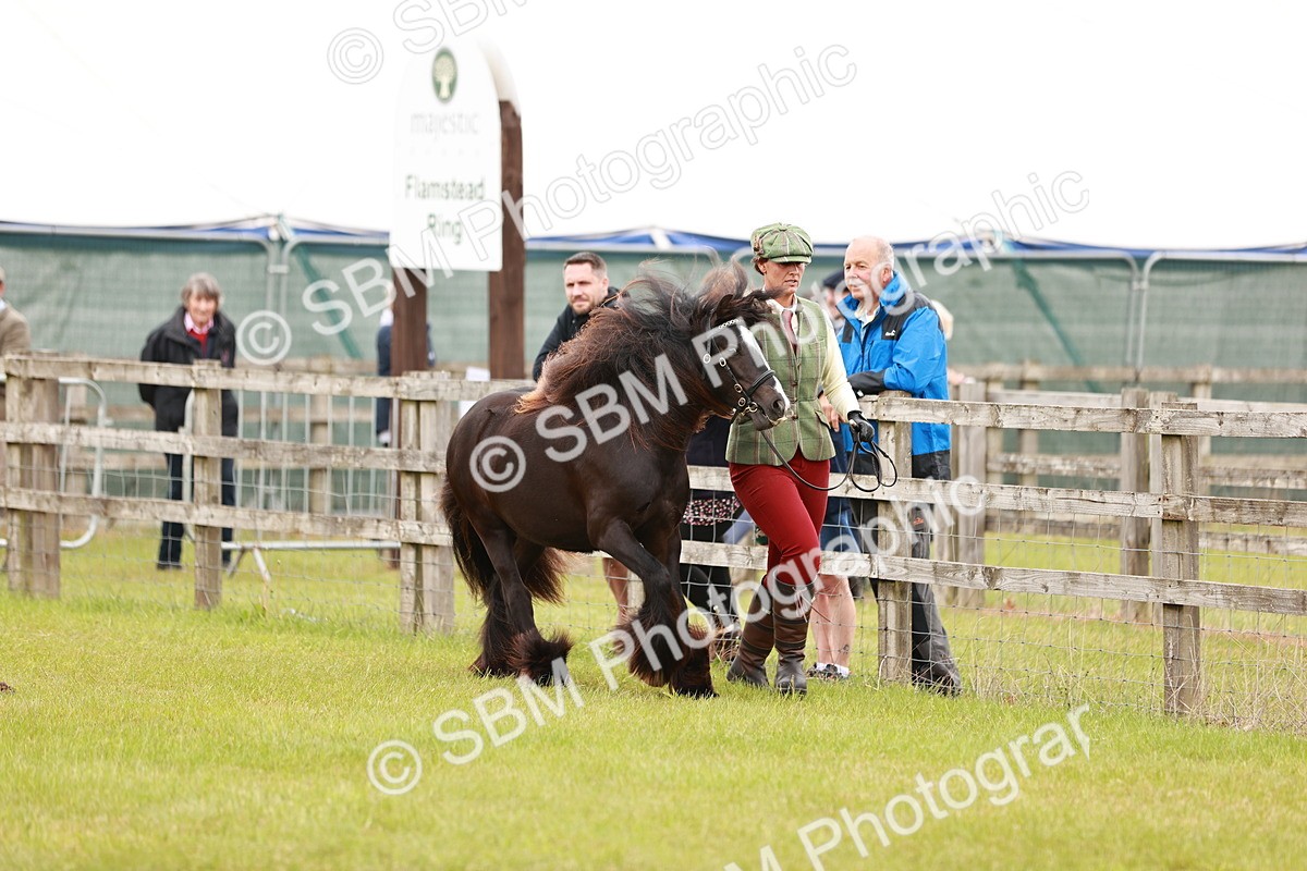 SBM_05962 - Class 39-41 TGCA In Hand and Ridden