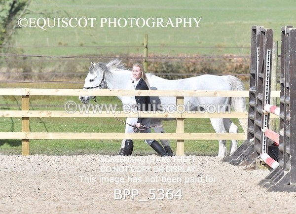 BPP_5364 - CLASS 4  British Novice/ 90cm Open