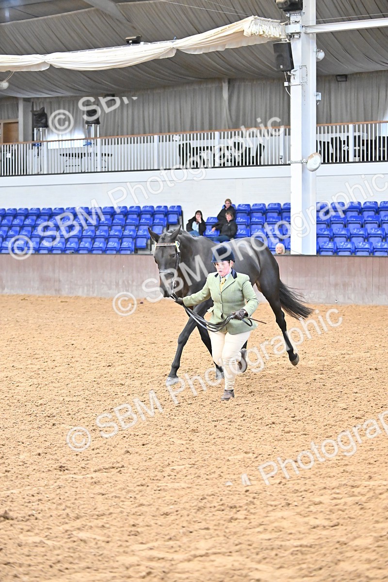 SBM_000242 - Class 7 - ROR Tattersalls In Hand