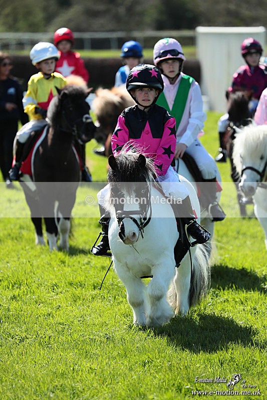 Shet 060426 212 - Shetland Pony Racing Paxford Races Easter Mon 06/04/26