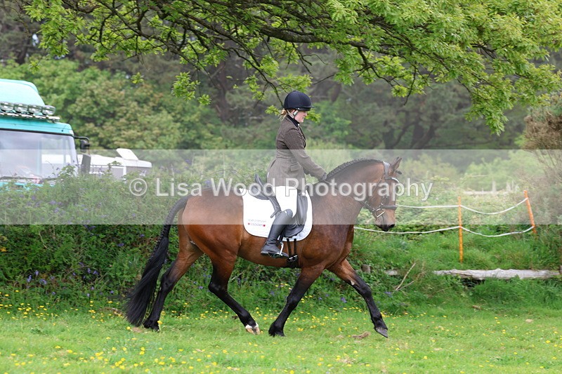 3E7A1742 - Class 9: Riding Club Horse/Pony