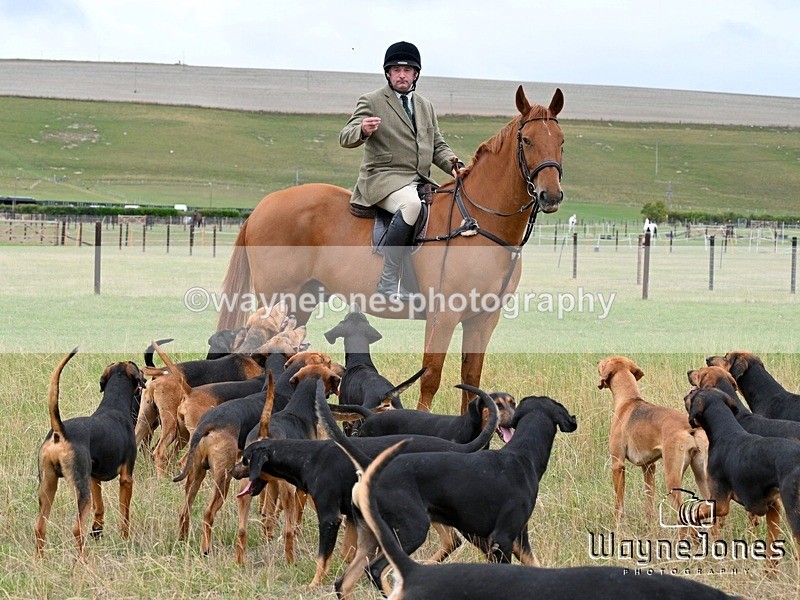 WJ7_0693 - Berks & Bucks Hound Exercise Blewbury 13-09-26