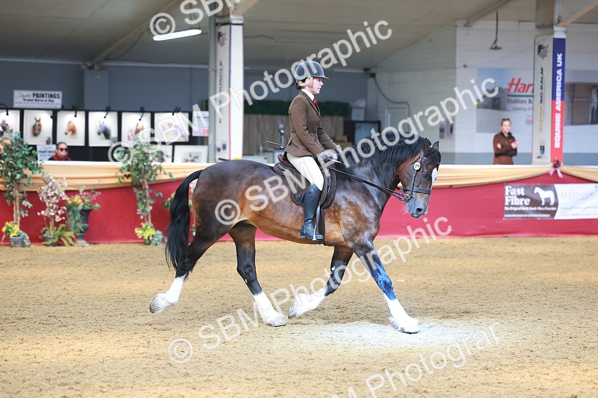 SBM_12592 - Class 103 - HOYS Veteran Qualifier - Ridden Pre Vet