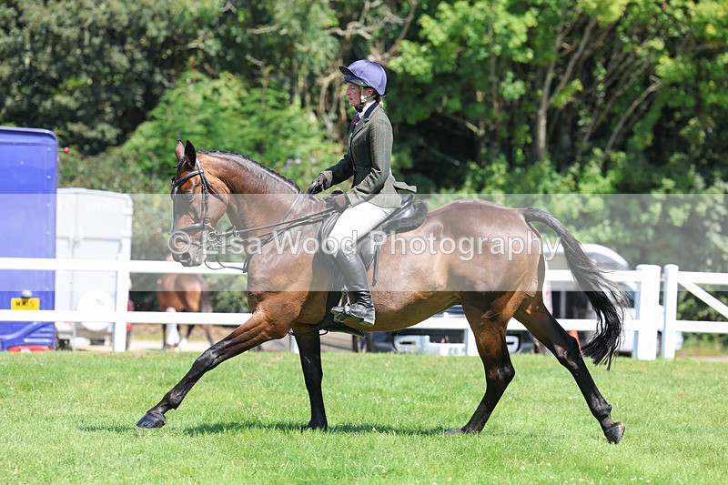 3E7A8982 - Class 6: Open Working Horse