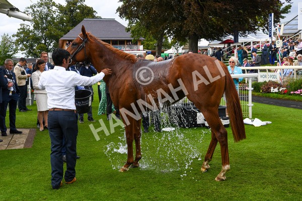 250823-Race 3-Lake Forest-0506 - Race 3 3.00pm Al Basti Equiworld Dubai Gimcrack Stakes