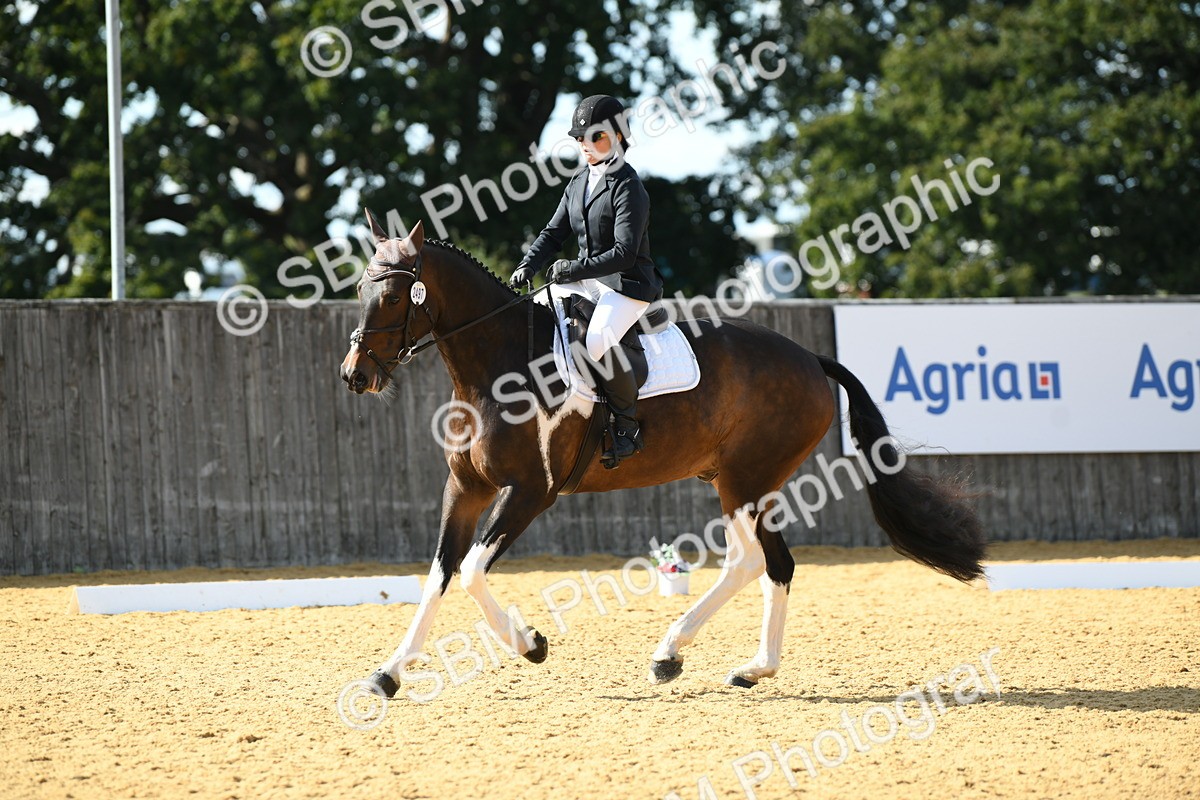 SBM_27016 - D16 - Small Tour Championship - Novice 28