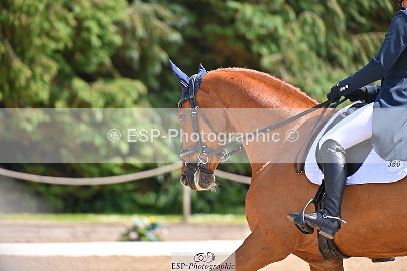 250523A-141512-07270 - B-360-Lucy.K.Wheeler-KING.CREOLE.VD.N.RANCH