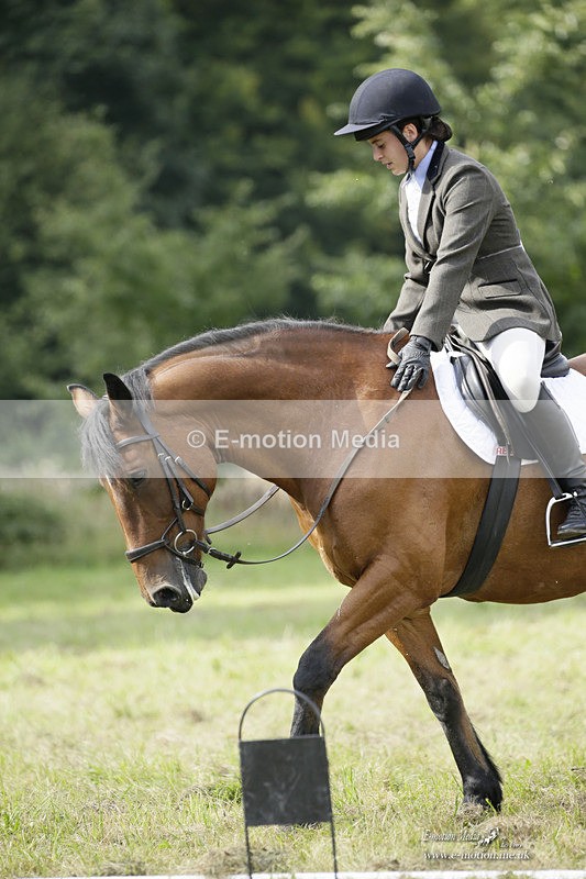 BVRC 120921 340 - Bourne Valley Riding Club UA Dressage & Show Jumping 12/09/21
