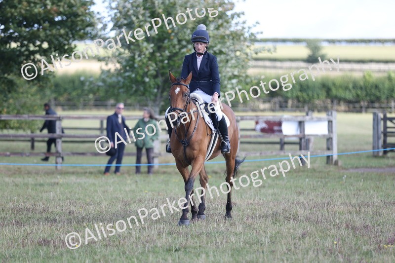 20250831-0864 - Class 14 - Ex Racehorse