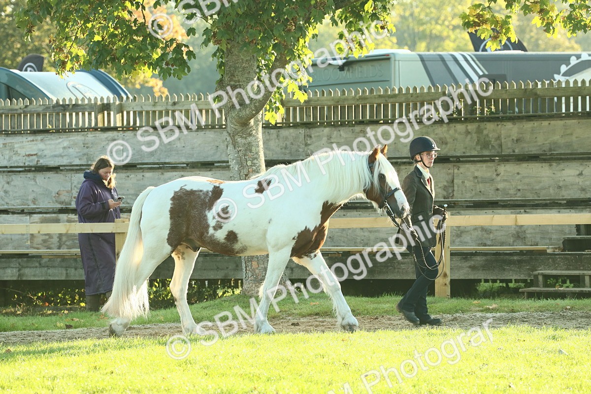 SBM_57312 - S37 - Starters In Hand Showing
