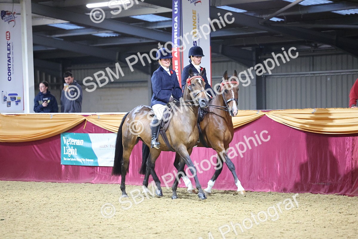 0B8A4339 - Class M Ridden Pairs Champ