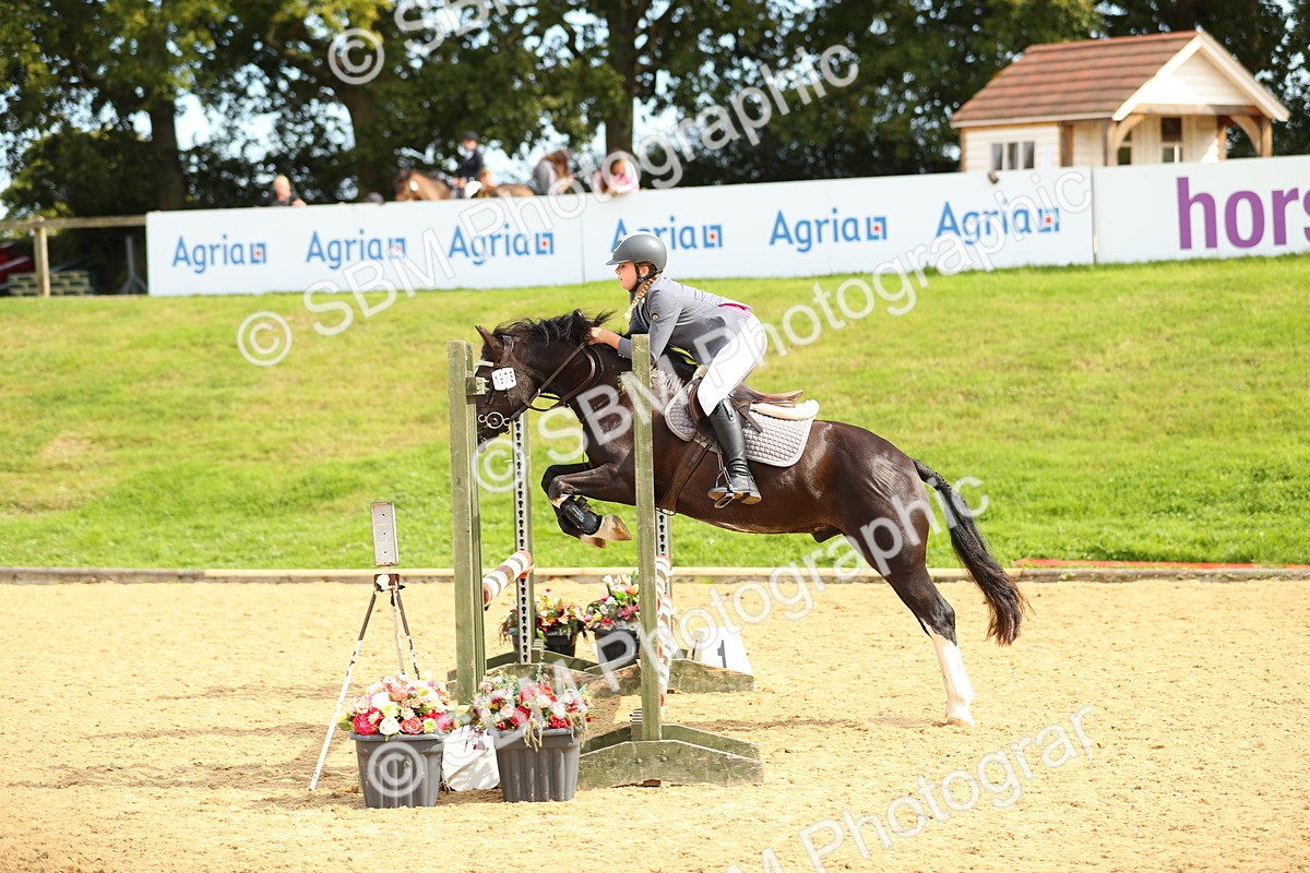 SBM_67111 - J17 - Junior Pony 80cm Championship