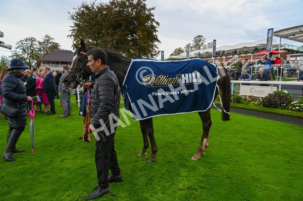 131023-Race 2-Lordship-7685 - Race 2 2.40pm William Hill Finale Handicap