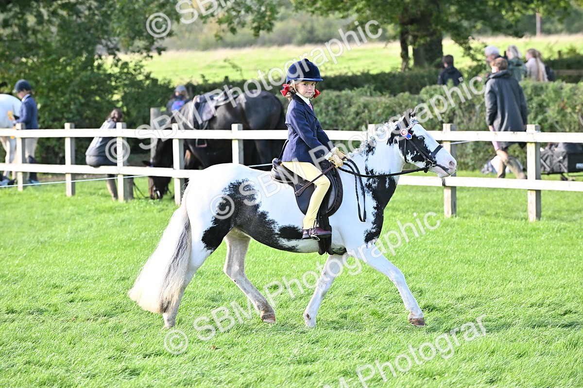 SBM_51225 - S22 - First Ridden show and show Hunter Pony