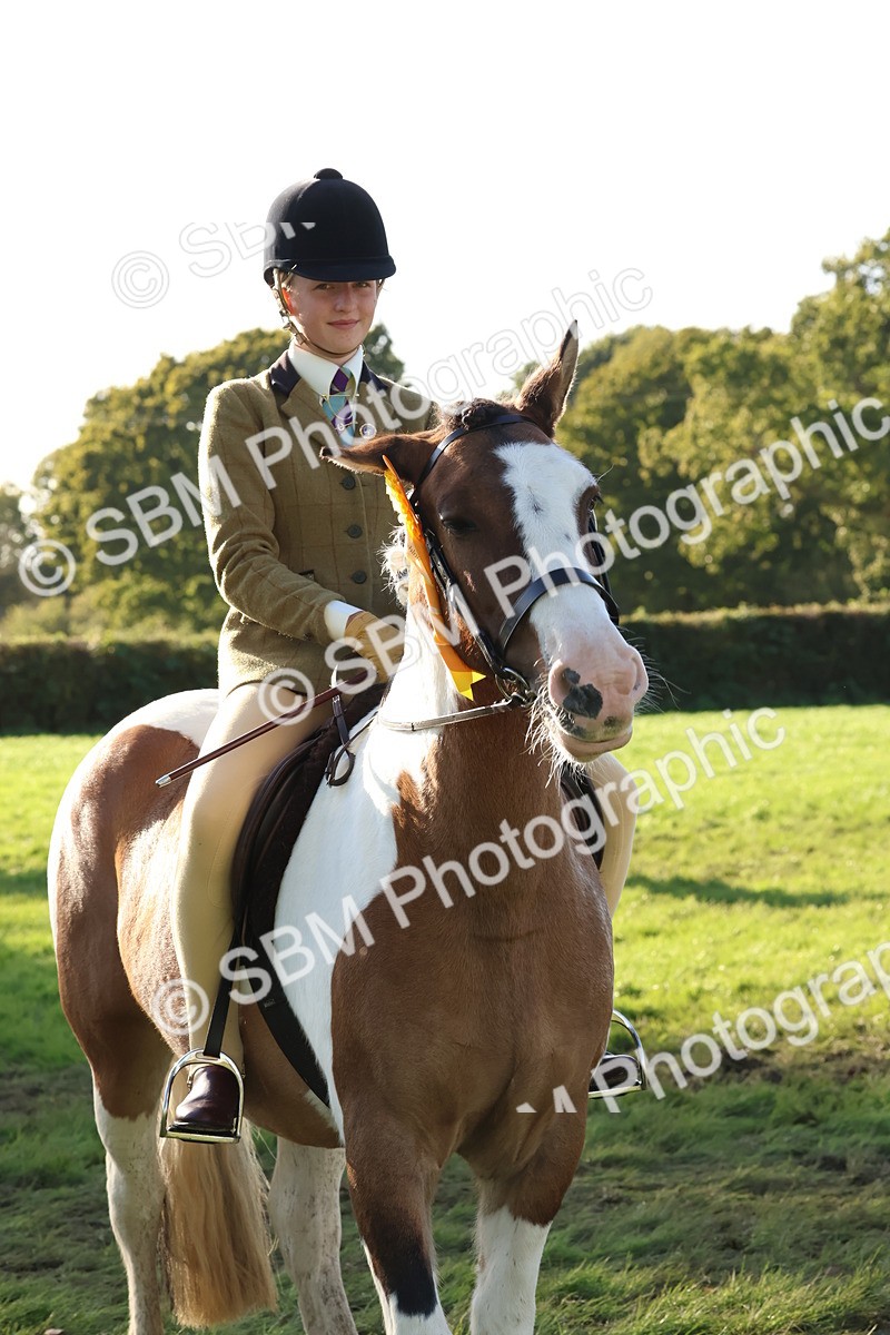 SBM_52677 - S13 - Pony Club Pony