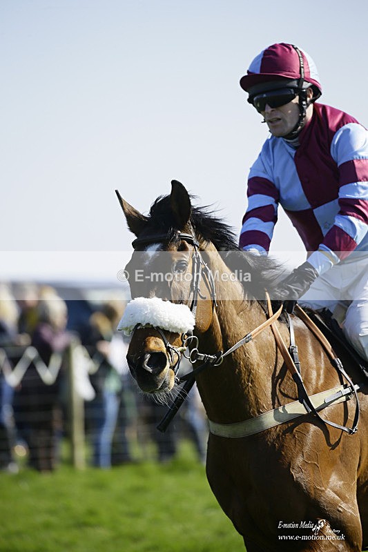 PtP 190322 530 - Wilton Hunt PtP Milborne St Andrew 19/03/22
