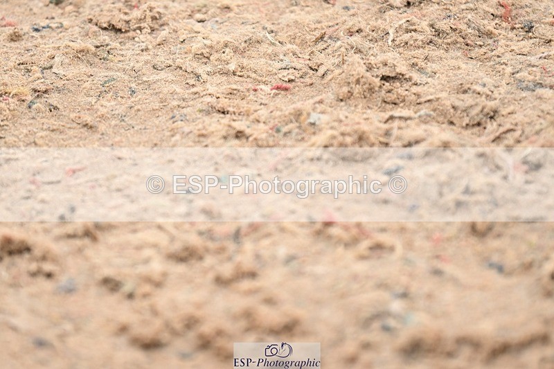 250424-140327-04830 - Cls 5 - 2 Star Medium Tour