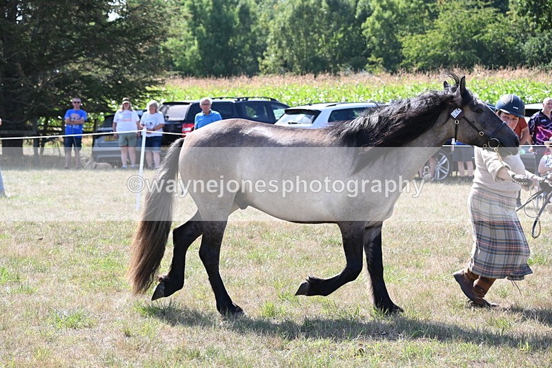 WJ6_5003 - Class 17 Mountain & Moorland